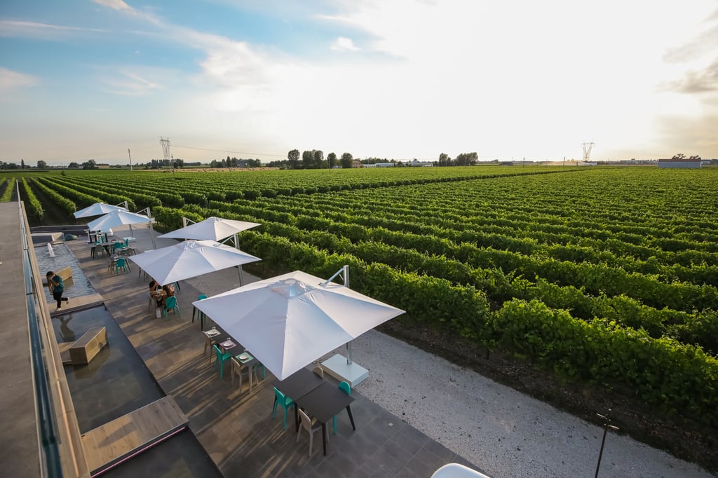 patio view from Ventiventi winery in Italy