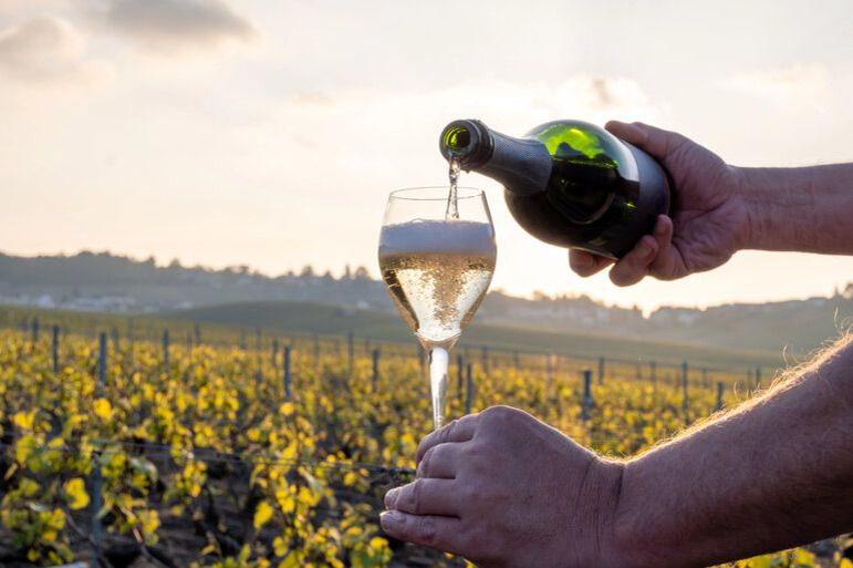 A bottle of Burgundy Chardonnay is poured into a glass