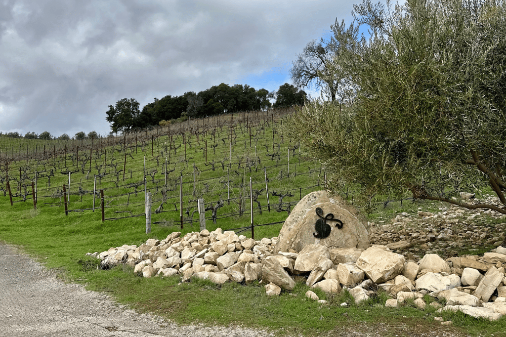 tablas creek vineyard