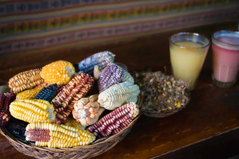 chicha tart maize beer