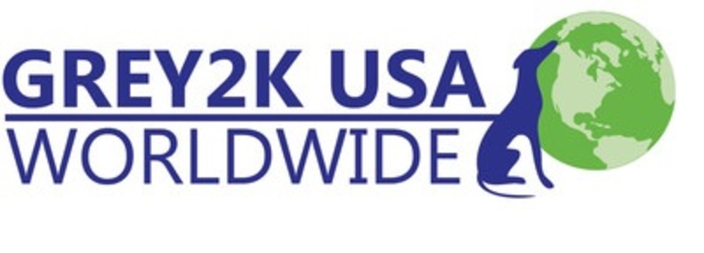 Grey2K USA Logo