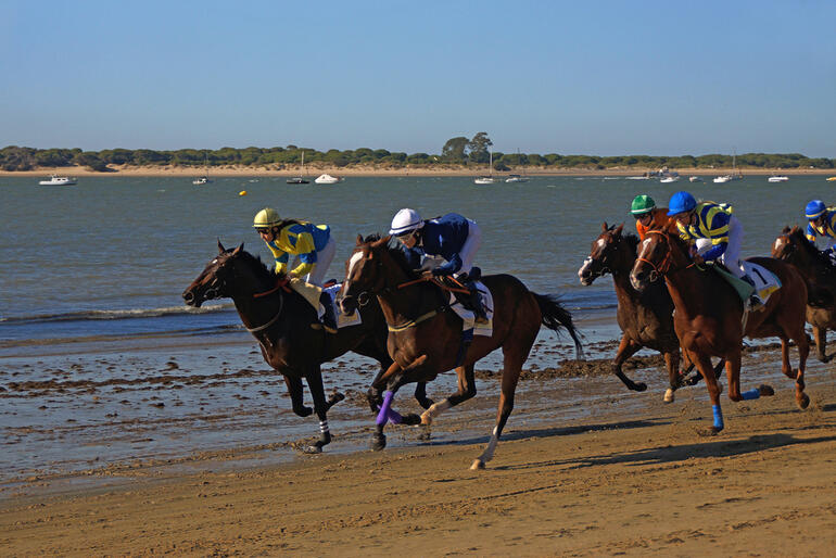 Horse racing on a beach track with jockeys in colorful gear