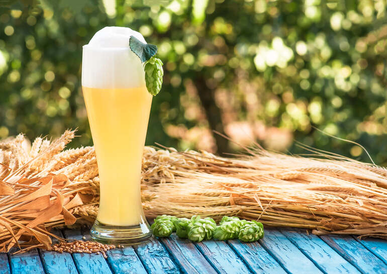 A tall glass of light CBD-infused beer with frothy head