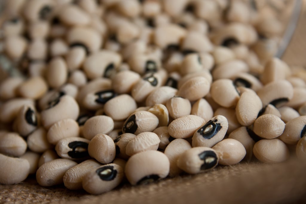 field peas in sour beer