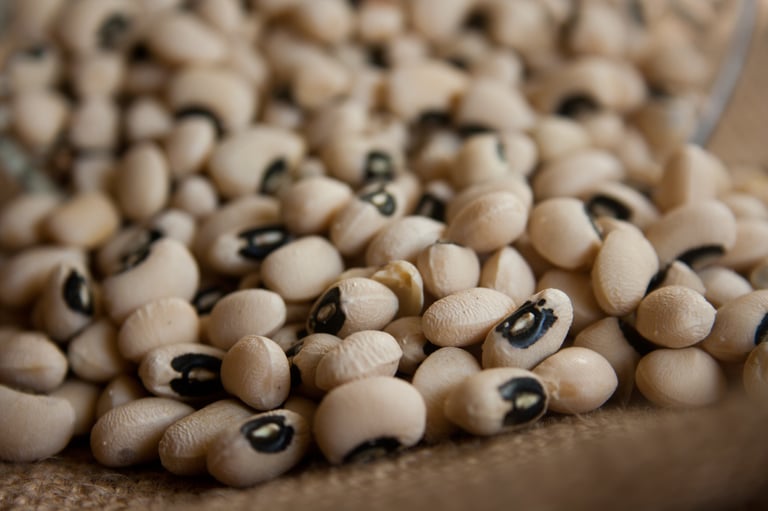 Speeding up Sour Beer Production… with Field Peas?