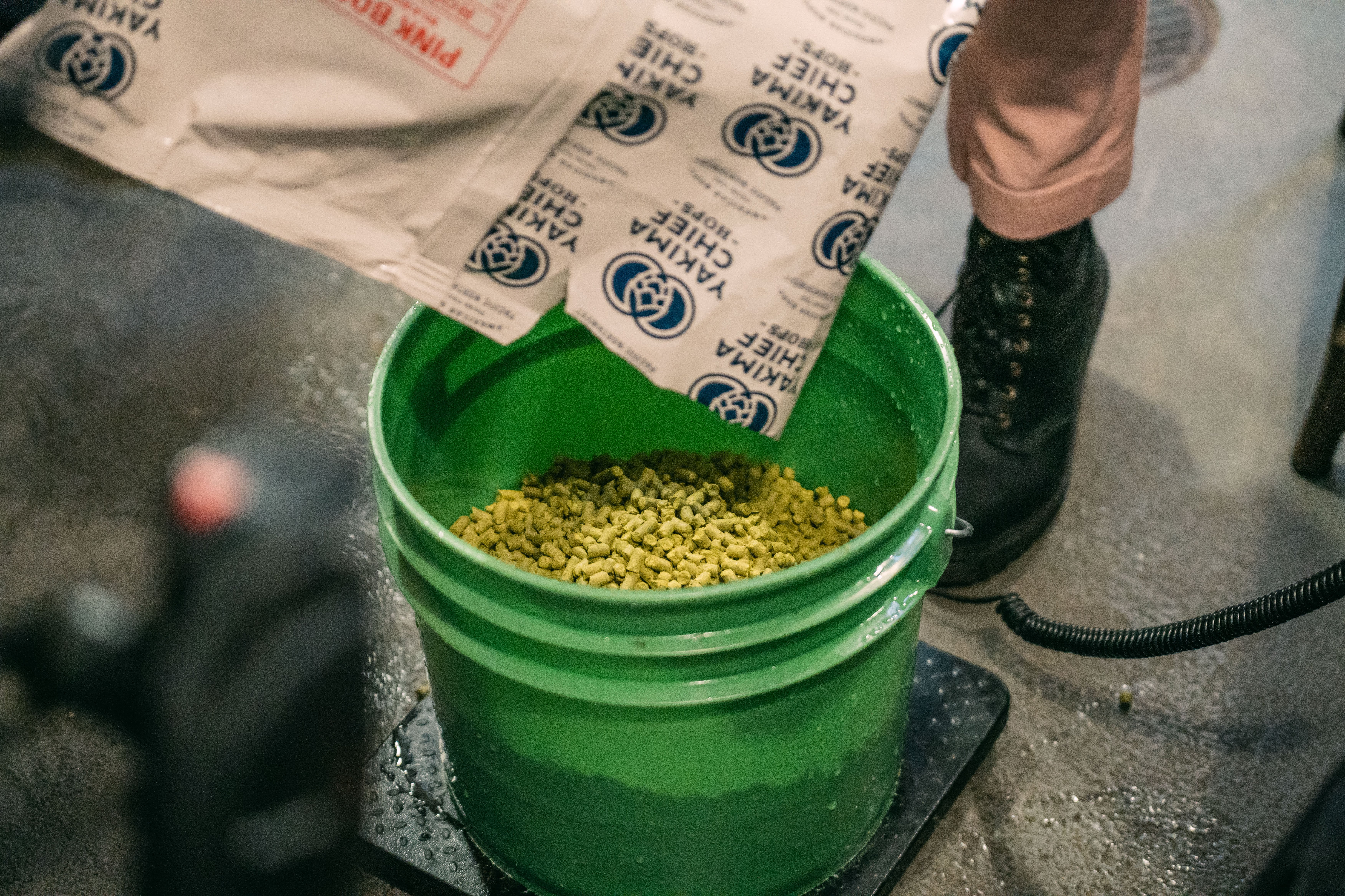 yakima chief hops in bucket