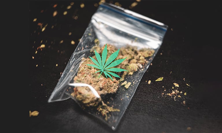 Why Beer Lovers Are Turning to Delta 8 Flower to Ease Anxiety Naturally