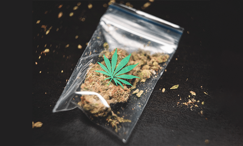 Delta 8 flower powder in a small plastic bag, representing natural relaxation for beer lovers.