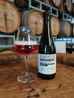 Cantina Errante Unveils Vignevecchie 2024, a Spontaneous Fermentation Beer from Old Bolgheri Vines