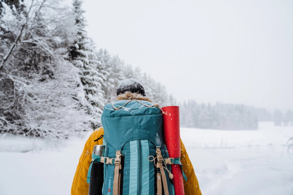 Close shot of hiking backpack on the back of the traveler. Snowy forest and rocks. Climbing the mountain in winter. Survival in the wild. High quality photo