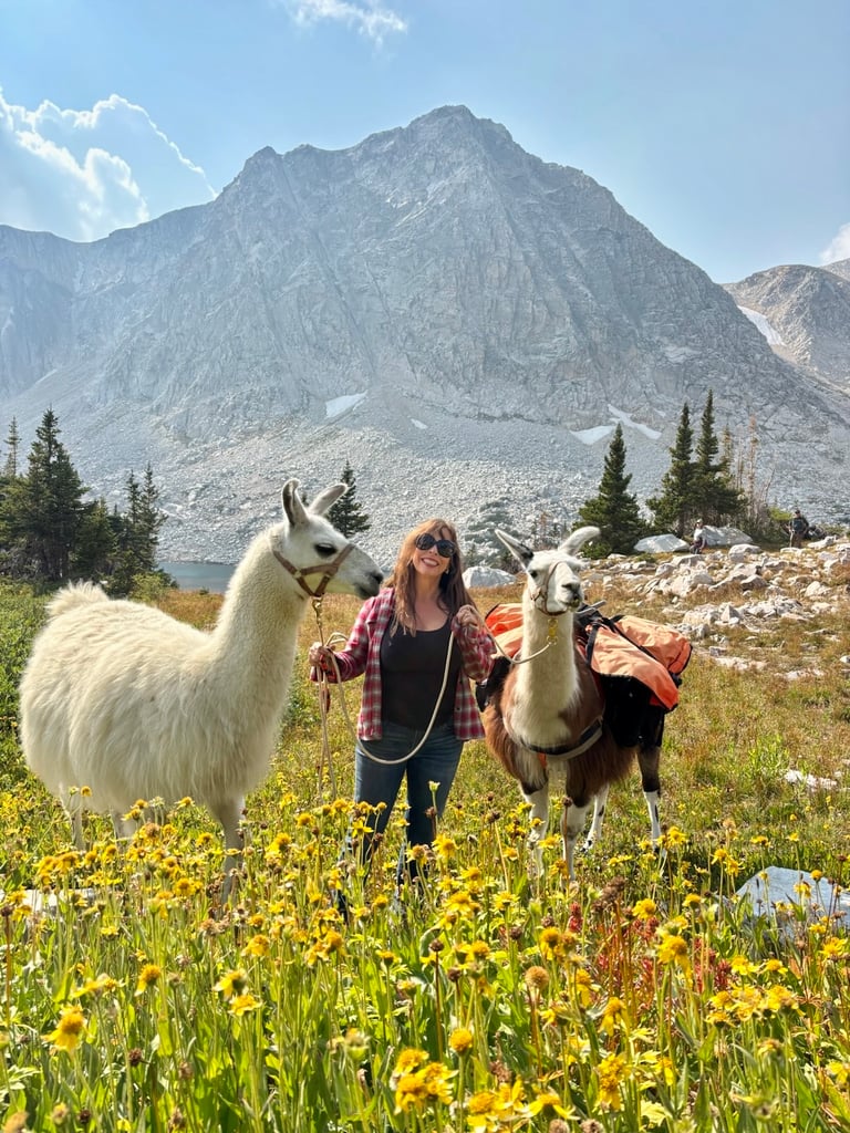 Author Heide Brandes with two llamas at Snowy Mountain Brewery