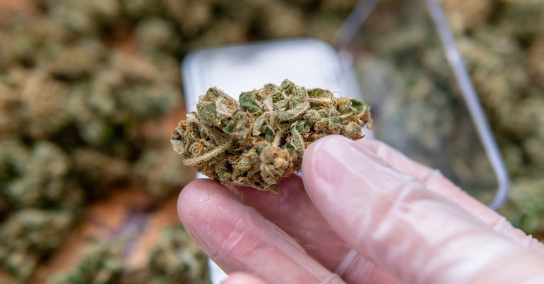 THCA flower proper storing benefits