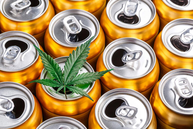 A cannabis leaf resting on an open beer can among a group of golden cans, symbolizing the mix of beer enthusiasm and online dispensary culture.
