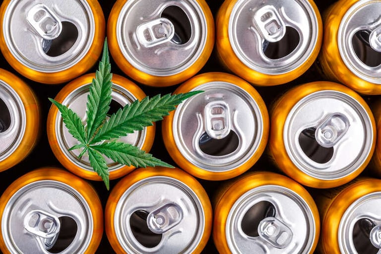 From Rope To Remedies: The History Of Hemp Every Craft Beer Fan Should Know