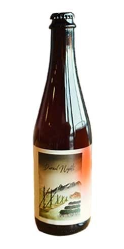 Diurnal Nights by moonshot brewing co. beer bottle