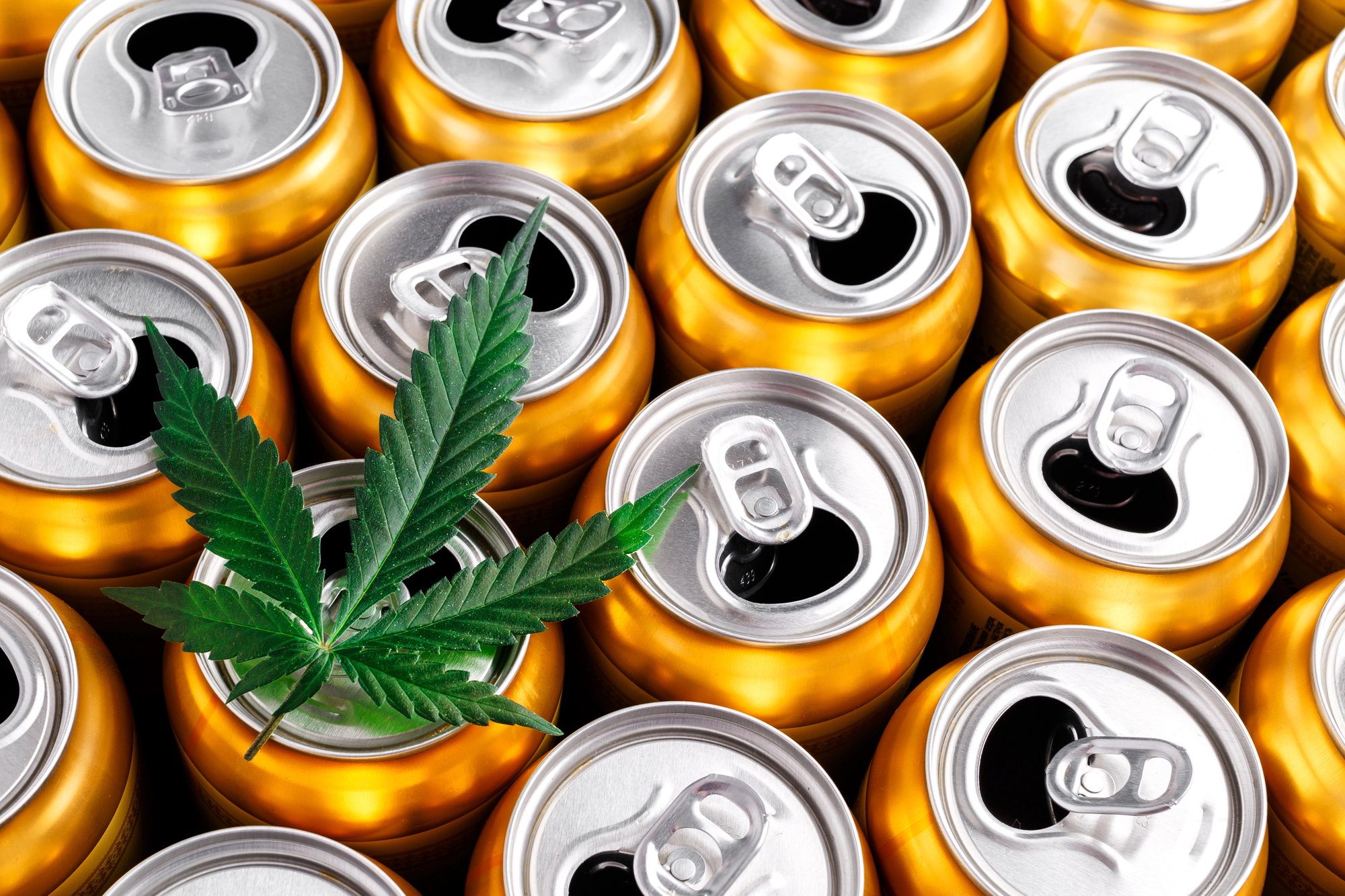 Cannabis leaf above cans of THC beverages.