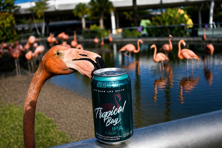 Biscayne Bay Brewing Turns Every Tropical Bay IPA Into a Win for Florida Flamingos