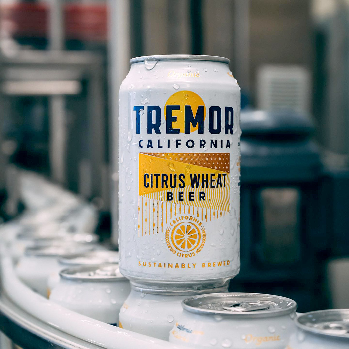 Tremor California Citrus Wheat – Rated 93 Seismic Brewing Co.