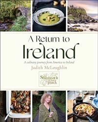 a return to ireland book cover