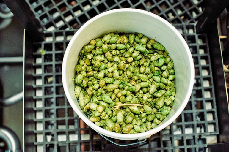 What is hops?