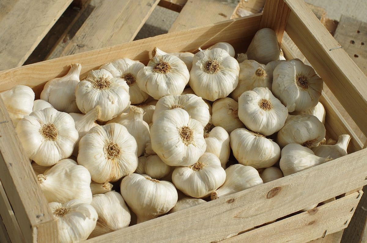 garlic cloves in a wooden crate
