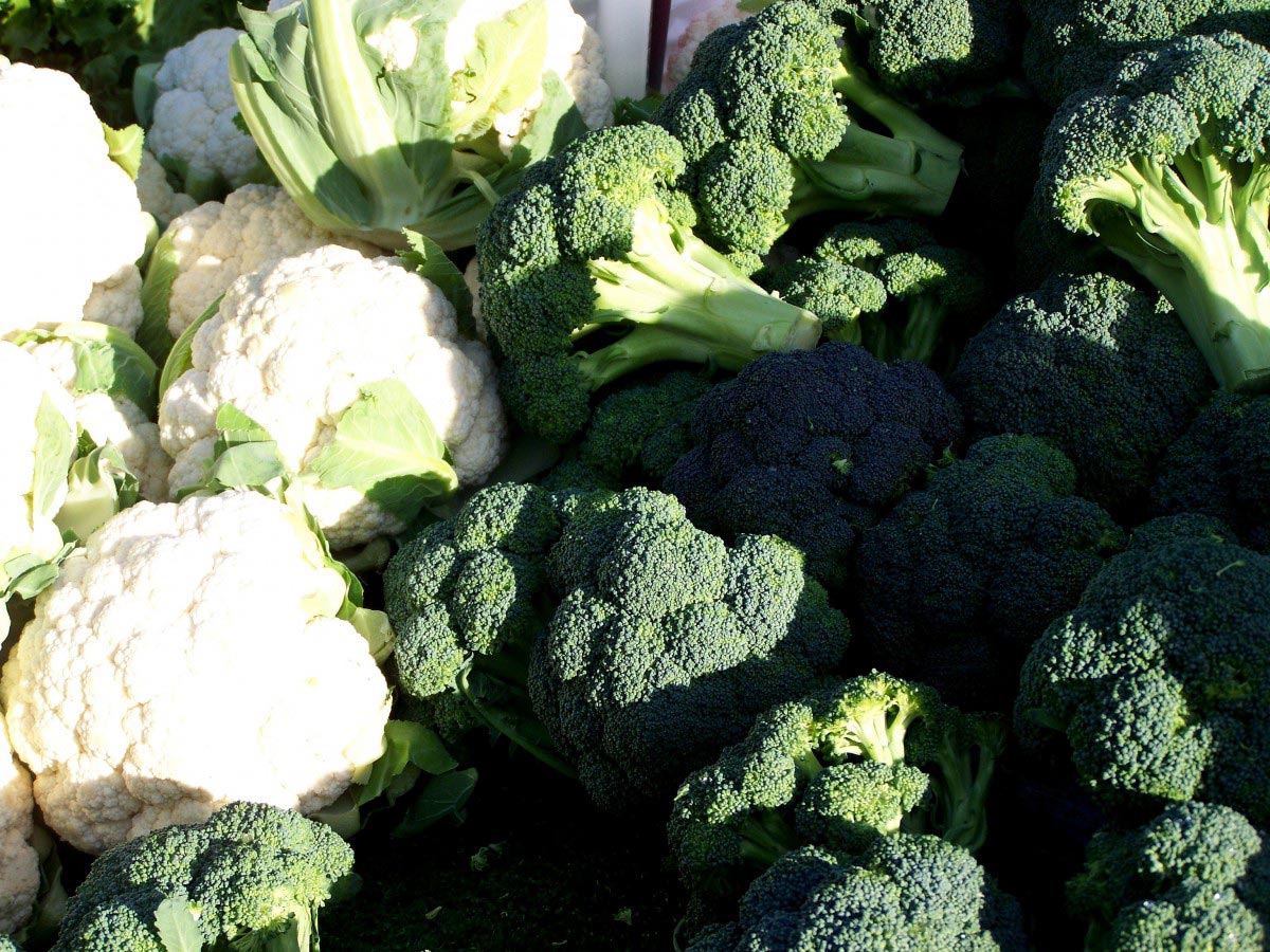 pile of broccoli and cauliflower