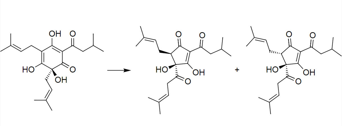 isomerization process in hops