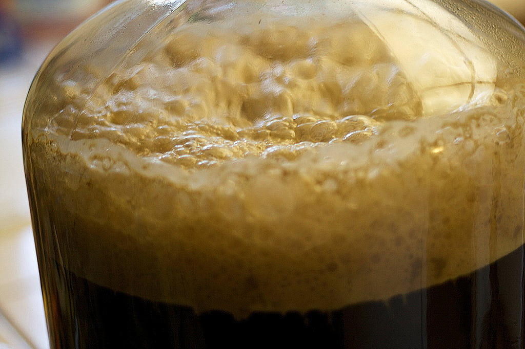 carboy filled with yeast