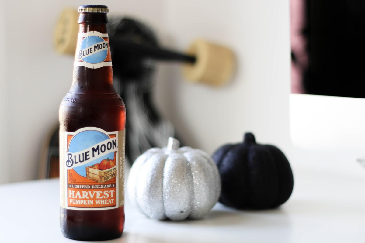blue moon harvest pumpkin wheat next to decorative pumpkins
