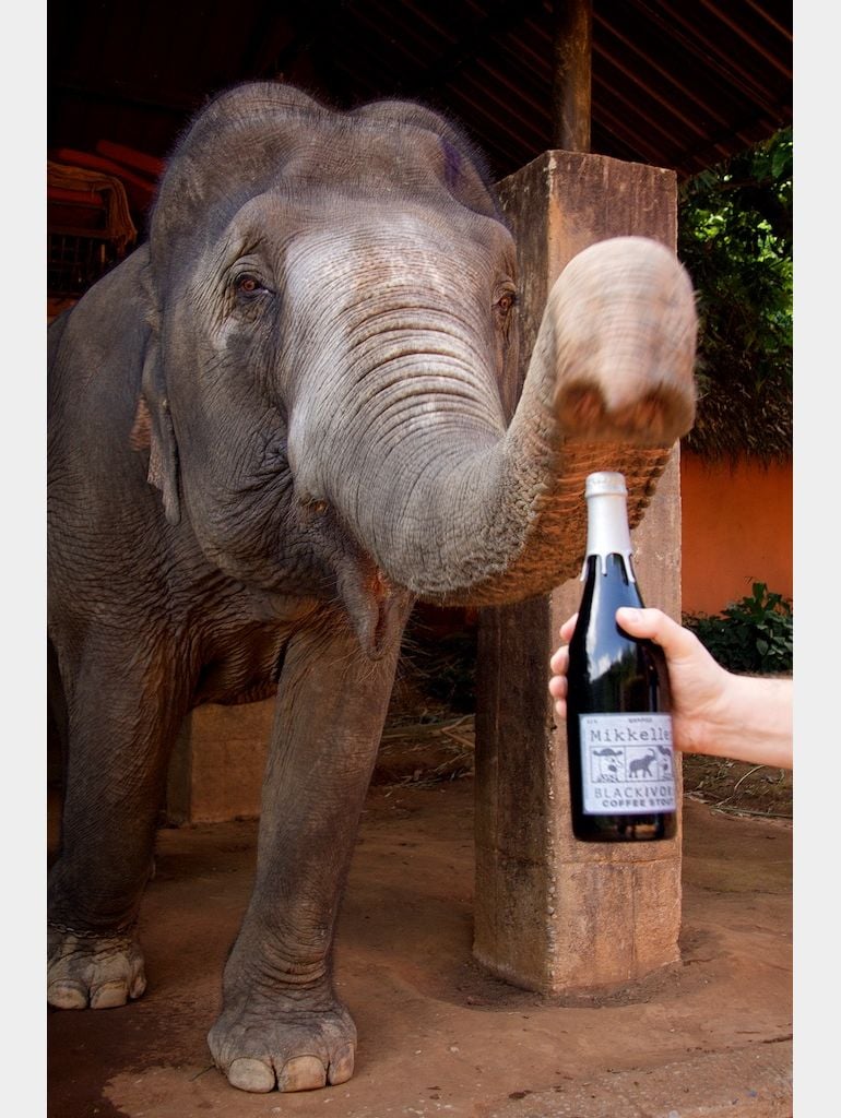 Mikkeller Releases Black Ivory Coffee Stout For Elephant Awareness