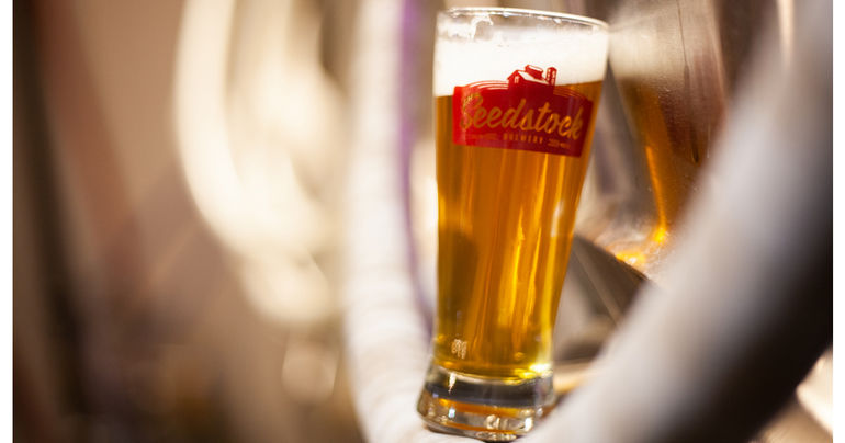 Seedstock Brewery Unveils Bohemian Barn Beer