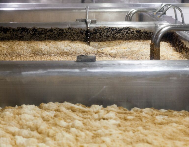 The Role of Yeast in Brewing
