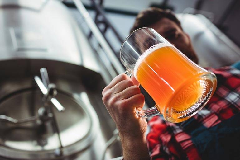 Brewing Success: How Beer Production Drives Economic Impact in the United States