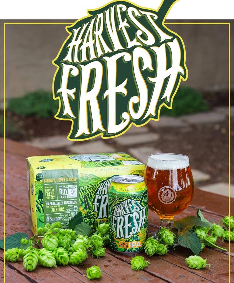Odell Brewing Co. Introduces Harvest Fresh IPA: A Burst of Hoppy Flavors in Every Sip