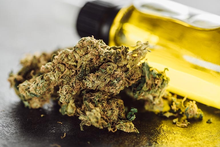 How To Make Cannabis Oil At Home? A Step-By-Step Guide
