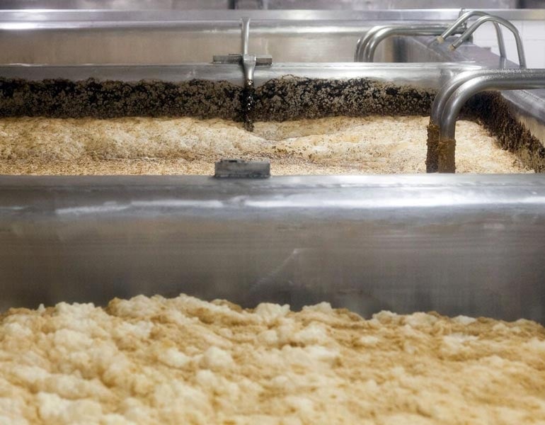 The Role of Beer Yeast in Brewing
