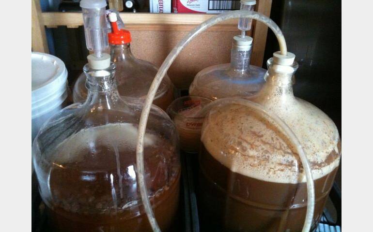 What beginners need to know about brewing delicious beer at home