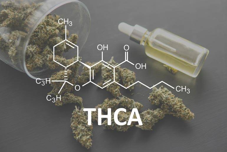 10 Things You Need To Know About THCA Flower