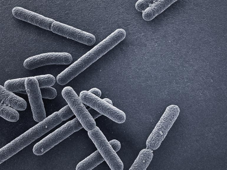 Proving Negligence in an E. Coli Lawsuit