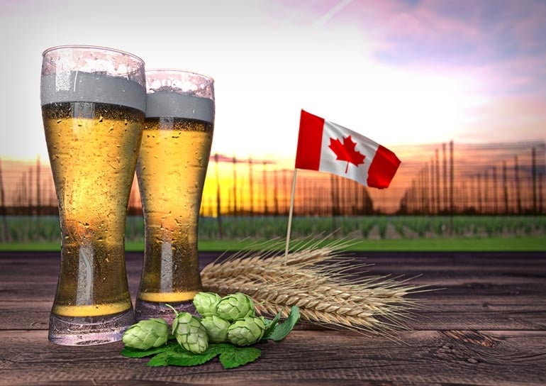 Top 10 Best-Brewed Beers Loved by Canadians