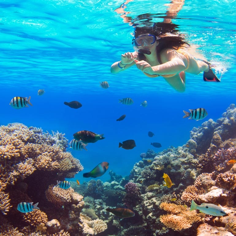 Top Things to Know Before You Try Snorkeling for the First Time