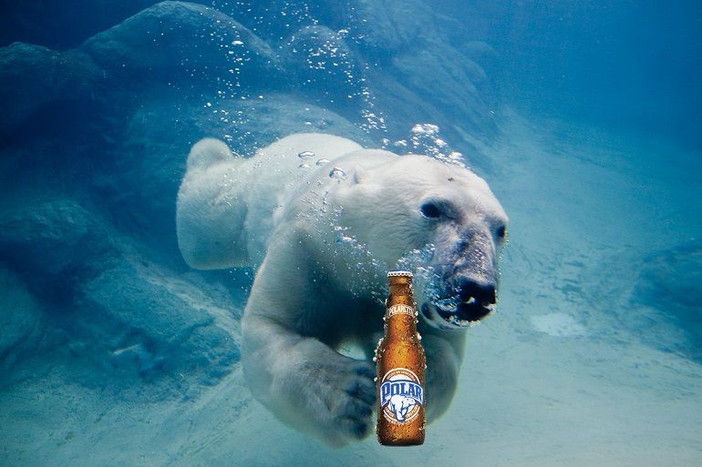 Venezuelan Beer Shortage Polar