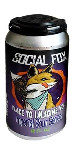 Place to Imagine Vol. 4 - Blueberry Pie Social Fox Brewing