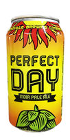 Asheville Perfect Day IPA beer