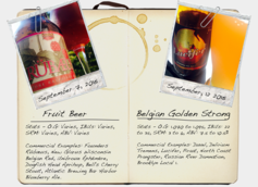 Fruit Beer & Belgian Golden Strong Ale Style