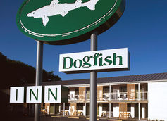 Dogfish Inn, Dogfish Head