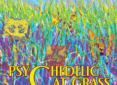 Psychedelic Cat Grass from Short's Brewing Returns
