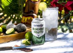 Cutwater Spirits Introduces Rum Mint Mojito Canned Cocktails
