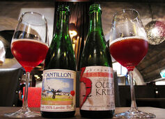 The Difference Between Sour and Wild Ale