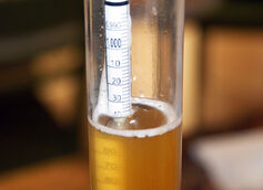 A must have for every brewer, the hydrometer measures the gravity of beer. (Photo by Daniel Spiess)